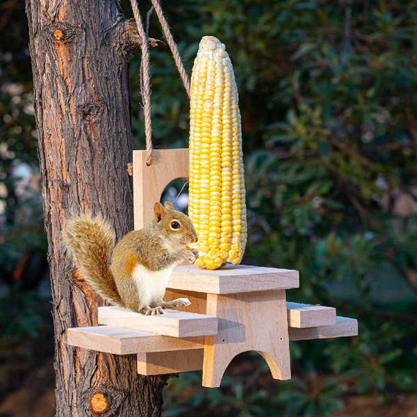 Arlmont & Co. Wooden Squirrel Feeder For Outside, Outdoors,Hanging